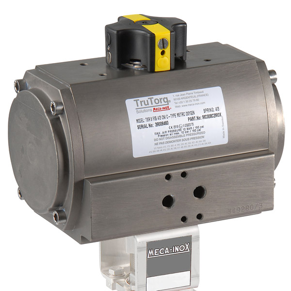 TruTorq Pneumatische Actuator type C, CNI